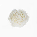 Bougies basse température Sentiment Dorure 45 degrés Pivoine Rose Cire d'aromathérapie faite à la main Facile à nettoyer